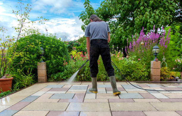 Best Gutter Cleaning  in Veneta, OR